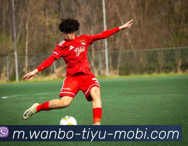 多媒体互动体验