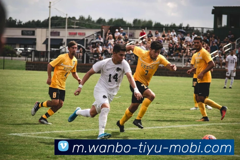 万博体育APP 高清赛事图